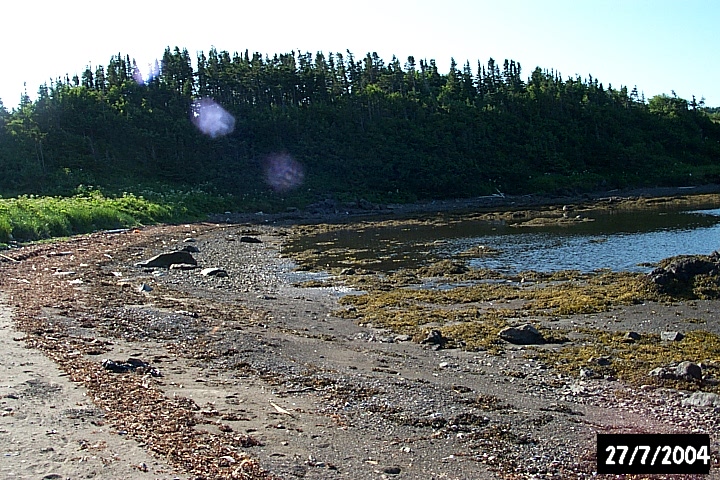 The shallow beach at The Bottom of Martinique Bay.